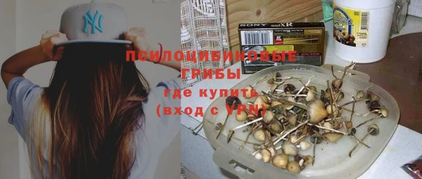 спайс Баксан